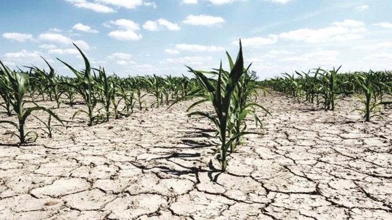 Meteorológico: 80.2% del país, entre lo anormalmente seco y la sequía excepcional