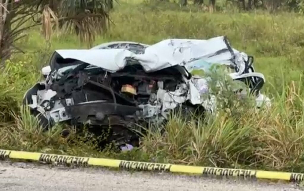 El automóvil se proyectó hacia la maleza para quedar destrozado, con la víctima prensada sin vida.