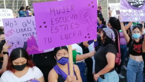 La representante del Colectivo Feminista 8M Carmen invita a Gladys Rivera López que se informe sobre cuál es el impacto que han tenido las manifestaciones.