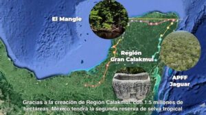 De acuerdo con informes de la Semarnat, el Estado de Campeche contará con la reserva de selva tropical más grande de México, y la segunda en el mundo después del Amazonas.