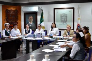 La diputada Karla Toledo Zamora es presidenta de la Comisión de Salud y del Comité de Evaluación de la LXIV Legislatura del Congreso del Estado, y encabezó la revisión de expedientes.