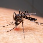 Aumentan casos de dengue