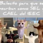 Mediante peculiar video de animales, el IEEC recluta a aspirantes a supervisores y capacitadores