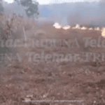 Alarma propagación de incendio forestal en zona de Mayatecum 1 y 2 en Champotón
