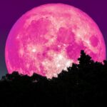 Este martes 23 de abril, será la Luna Rosa