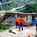 POR LA LLUVIA DE ANOCHE, CAE ÁRBOL SOBRE EQUIPO DE BOMBEO, REVIENTA CABLES Y DEJA SIN AGUA A LERMA