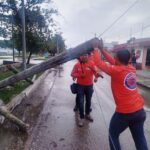 ALCALDÍA ATENDIÓ CAÍDAS DE 47 ÁRBOLES Y 10 POSTES DURANTE PASO DE MILTON