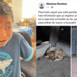 REGRESÓ BOBI, UNO DE LOS PERROS DEL NIÑO DESAPARECIDO; CONTINÚA LA BÚSQUEDA