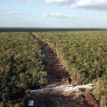 TREN MAYA ARRASÓ MÁS DE 11 MIL HECTÁREAS Y LIBERÓ 470 MIL TONELADAS CARBONO