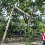 CAE ÁRBOL EN LA NACOZARI, DERRIBA TRES POSTES DE LUZ, DEJA SIN ELECTRICIDAD A VARIAS COLONIAS BLOQUEA AVENIDA; ¡TOME SUS PRECAUCIONES!