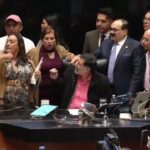 ZAFARRANCHO EN EL SENADO: GRITOS Y CODAZOS ENTRE LEGISLADORES