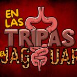EN LAS TRIPAS DEL JAGUAR: 04 DE JUNIO DE 2026