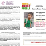 LEY SABINA EXIGE JUSTICIA A MÁS DE UN AÑO DE SEPARACIÓN FORZADA ENTRE SUSAN GÓMEZ E HIJO