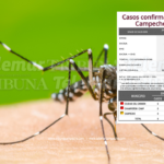 14 CASOS MÁS DE DENGUE EN CAMPECHE: SUPERA POR 1 EL REGISTRO DEL AÑO PASADO