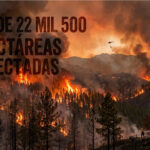 MÁS DE 22 MIL 500 HECTÁREAS AFECTADAS EN EL ESTADO POR INCENDIOS FORESTALES EN LO QUE VA DE ESTE AÑO, REPORTAN