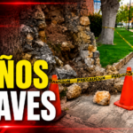 SIN DAÑOS GRAVES TRAS DERRUMBE EN EL JARDÍN BOTÁNICO, REVELAN.