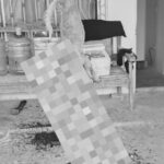 ABREN CARPETA DE INVESTIGACIÓN POR CRUELDAD ANIMAL EN ESCÁRCEGA