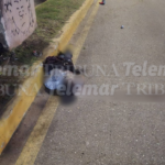 IDENTIFICAN A JOVEN MOTOCICLISTA QUE MURIÓ TRAS ACCIDENTE EN LA AVENIDA PATRICIO TRUEBA