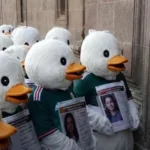 MADRES BUSCADORAS CON PLUMAS DE PATO: LA CRÍTICA QUE SE VIRALIZA EN REDES