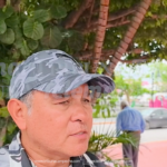 NI LA COMUNA NI EL GOBIERNO DE LAYDA ACTÚAN PARA EVITAR QUE LOMITOS FERALES ATAQUEN A TORTUGAS EN PLAYAS DE ISLA AGUADA Y PUERTO REAL, ACUSAN