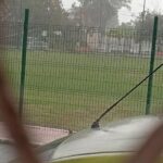 FUERTES LLUVIAS DERRIBAN DOS ÁRBOLES; UNO EN CONCORDIA Y EL SEGUNDO EN JARDINES