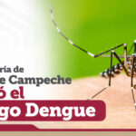 CAMPECHE: AYUNTAMIENTOS NO PUEDEN FUMIGAR PARA PREVENIR EL DENGUE: ORLANDO ALVARADO; “SÓLO DESCACHARRIZAN”