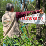 PROFEPA CLAUSURA EN CHAMPOTÓN 2 PREDIOS CON CAMBIO DE USO DE SUELO POR AFECTAR 29.6 HECTÁREAS FORESTALES