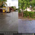 LLUVIAS Y VIENTO TIRARON DOS POSTES DE MADERA EN SOLIDARIDAD URBANA
