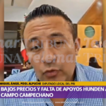EN CRISIS EL CAMPO CAMPECHANO POR APOYO TARDÍO DEL GOBIERNO Y BAJOS PRECIOS, AFIRMAN