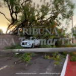CAE ÁRBOL SOBRE CAMIONETA Y POSTE EN LA COLONIA JARDINES